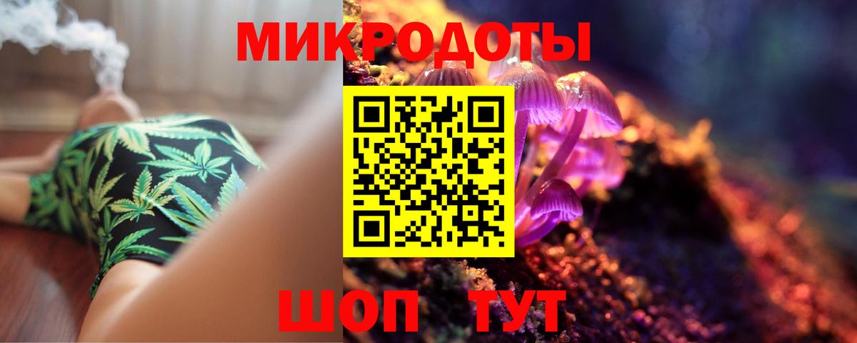 Галлюциногенные грибы Psilocybine cubensis Октябрьский